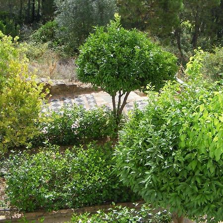 Apartamento Los Naranjos Benahavís Szoba fotó