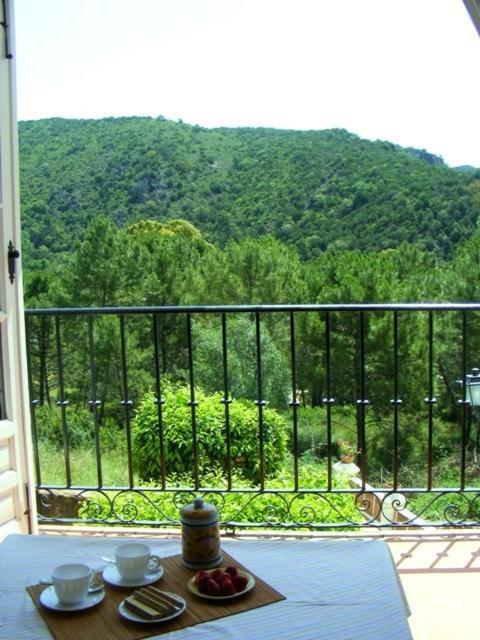 Apartamento Los Naranjos Benahavís Szoba fotó
